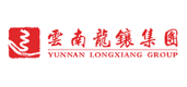 云南龙镶集团官方网站案例截图